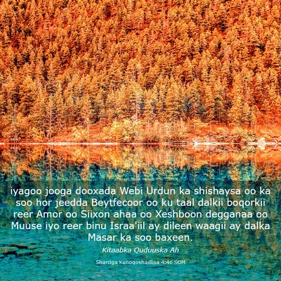 Picture 03 - Sharciga Kunoqoshadiisa 4:46 SOM - iyagoo jooga dooxada Webi Urdun ka shishaysa oo - Bible Verse Picture