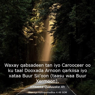 Picture 03 - Sharciga Kunoqoshadiisa 4:48 SOM - Waxay qabsadeen tan iyo Carooceer oo ku taal - Bible Verse Picture
