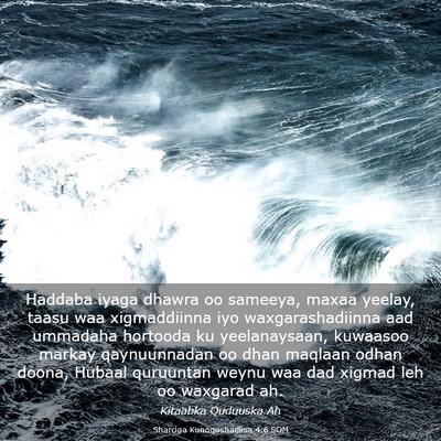 Picture 03 - Sharciga Kunoqoshadiisa 4:6 SOM - Haddaba iyaga dhawra oo sameeya, maxaa yeelay, - Bible Verse Picture