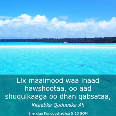Picture 03 - Sharciga Kunoqoshadiisa 5:13 SOM - Lix maalmood waa inaad hawshootaa, oo aad - Bible Verse Picture