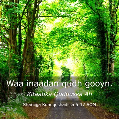 Picture 03 - Sharciga Kunoqoshadiisa 5:17 SOM - Waa inaadan qudh - Bible Verse Picture