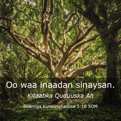 Picture 03 - Sharciga Kunoqoshadiisa 5:18 SOM - Oo waa inaadan - Bible Verse Picture