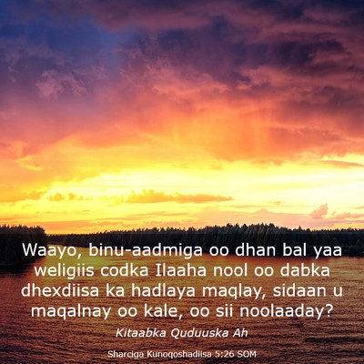 Picture 03 - Sharciga Kunoqoshadiisa 5:26 SOM - Waayo, binu-aadmiga oo dhan bal yaa weligiis - Bible Verse Picture