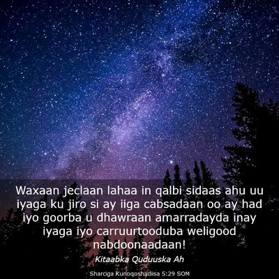 Picture 03 - Sharciga Kunoqoshadiisa 5:29 SOM - Waxaan jeclaan lahaa in qalbi sidaas ahu uu iyaga - Bible Verse Picture