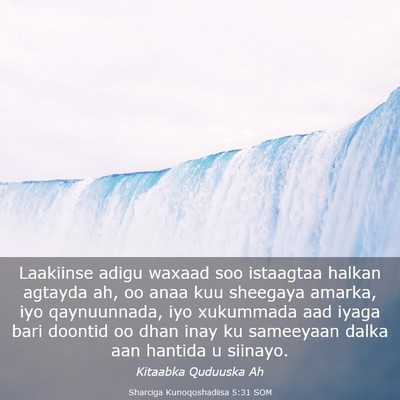 Picture 03 - Sharciga Kunoqoshadiisa 5:31 SOM - Laakiinse adigu waxaad soo istaagtaa halkan - Bible Verse Picture