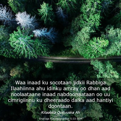 Picture 03 - Sharciga Kunoqoshadiisa 5:33 SOM - Waa inaad ku socotaan jidkii Rabbiga Ilaahiinna - Bible Verse Picture