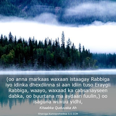Picture 03 - Sharciga Kunoqoshadiisa 5:5 SOM - (oo anna markaas waxaan istaagay Rabbiga iyo - Bible Verse Picture