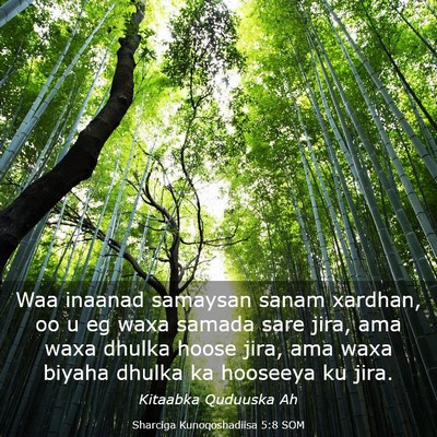 Picture 03 - Sharciga Kunoqoshadiisa 5:8 SOM - Waa inaanad samaysan sanam xardhan, oo u eg waxa - Bible Verse Picture