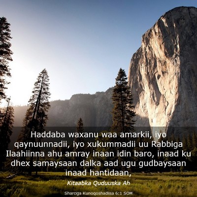 Picture 03 - Sharciga Kunoqoshadiisa 6:1 SOM - Haddaba waxanu waa amarkii, iyo qaynuunnadii, iyo - Bible Verse Picture