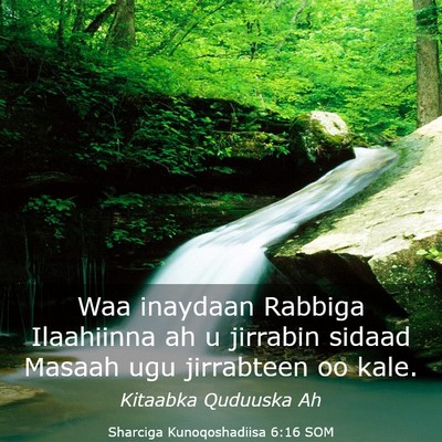 Picture 03 - Sharciga Kunoqoshadiisa 6:16 SOM - Waa inaydaan Rabbiga Ilaahiinna ah u jirrabin - Bible Verse Picture
