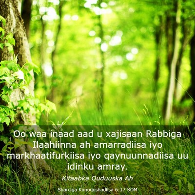 Picture 03 - Sharciga Kunoqoshadiisa 6:17 SOM - Oo waa inaad aad u xajisaan Rabbiga Ilaahiinna ah - Bible Verse Picture