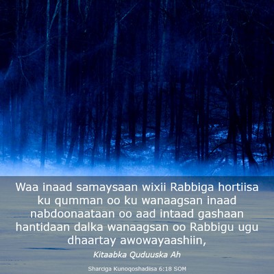 Picture 03 - Sharciga Kunoqoshadiisa 6:18 SOM - Waa inaad samaysaan wixii Rabbiga hortiisa ku - Bible Verse Picture