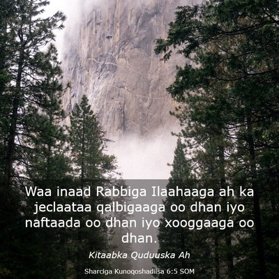 Picture 03 - Sharciga Kunoqoshadiisa 6:5 SOM - Waa inaad Rabbiga Ilaahaaga ah ka jeclaataa - Bible Verse Picture