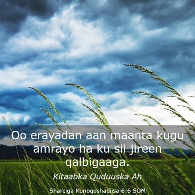 Picture 03 - Sharciga Kunoqoshadiisa 6:6 SOM - Oo erayadan aan maanta kugu amrayo ha ku sii - Bible Verse Picture