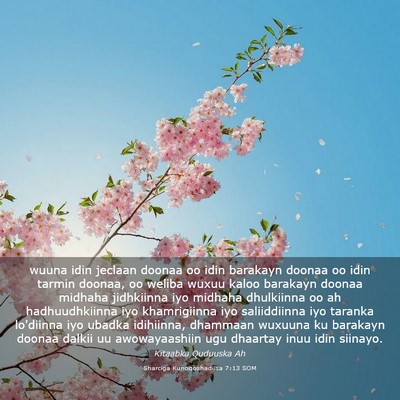 Picture 03 - Sharciga Kunoqoshadiisa 7:13 SOM - wuuna idin jeclaan doonaa oo idin barakayn doonaa - Bible Verse Picture