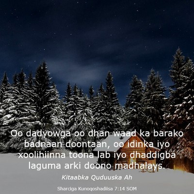Picture 03 - Sharciga Kunoqoshadiisa 7:14 SOM - Oo dadyowga oo dhan waad ka barako badnaan - Bible Verse Picture