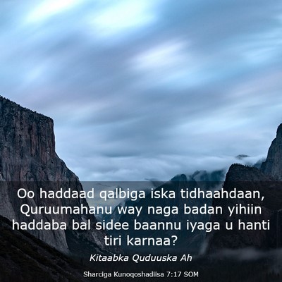 Picture 03 - Sharciga Kunoqoshadiisa 7:17 SOM - Oo haddaad qalbiga iska tidhaahdaan, Quruumahanu - Bible Verse Picture