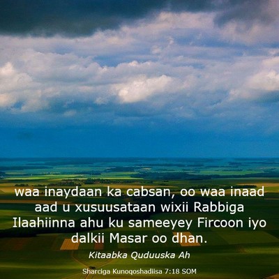 Picture 03 - Sharciga Kunoqoshadiisa 7:18 SOM - waa inaydaan ka cabsan, oo waa inaad aad u - Bible Verse Picture