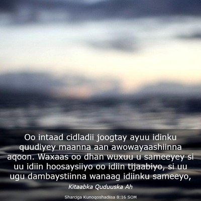 Picture 03 - Sharciga Kunoqoshadiisa 8:16 SOM - Oo intaad cidladii joogtay ayuu idinku quudiyey - Bible Verse Picture