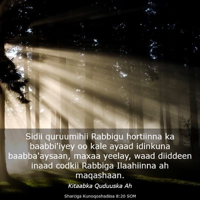 Picture 03 - Sharciga Kunoqoshadiisa 8:20 SOM - Sidii quruumihii Rabbigu hortiinna ka baabbi'iyey - Bible Verse Picture