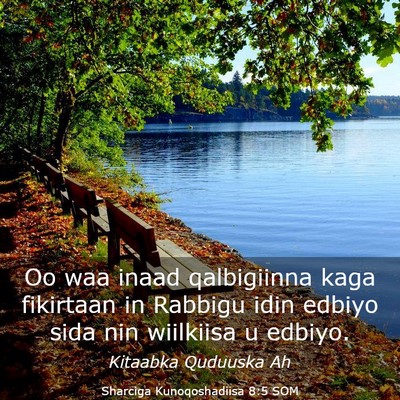 Picture 03 - Sharciga Kunoqoshadiisa 8:5 SOM - Oo waa inaad qalbigiinna kaga fikirtaan in - Bible Verse Picture