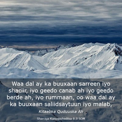 Picture 03 - Sharciga Kunoqoshadiisa 8:8 SOM - Waa dal ay ka buuxaan sarreen iyo shaciir, iyo - Bible Verse Picture