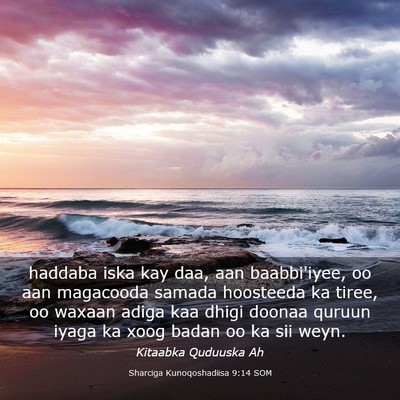 Picture 03 - Sharciga Kunoqoshadiisa 9:14 SOM - haddaba iska kay daa, aan baabbi'iyee, oo aan - Bible Verse Picture
