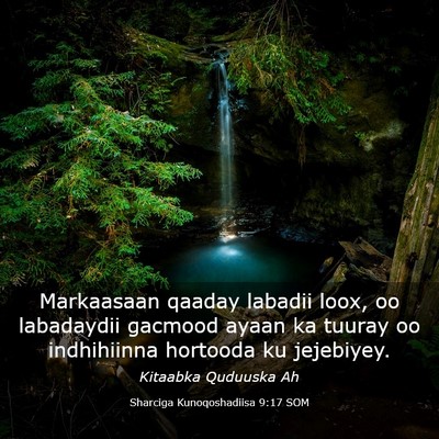 Picture 03 - Sharciga Kunoqoshadiisa 9:17 SOM - Markaasaan qaaday labadii loox, oo labadaydii - Bible Verse Picture