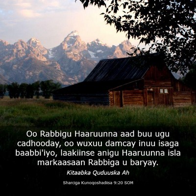 Picture 03 - Sharciga Kunoqoshadiisa 9:20 SOM - Oo Rabbigu Haaruunna aad buu ugu cadhooday, oo - Bible Verse Picture