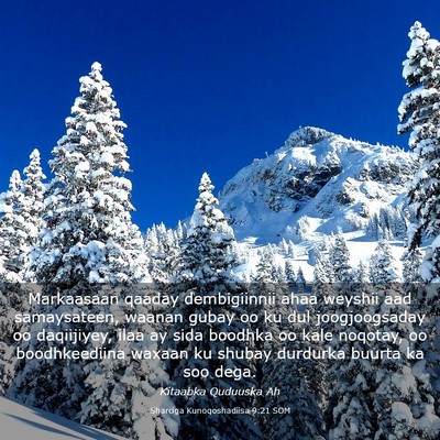 Picture 03 - Sharciga Kunoqoshadiisa 9:21 SOM - Markaasaan qaaday dembigiinnii ahaa weyshii aad - Bible Verse Picture