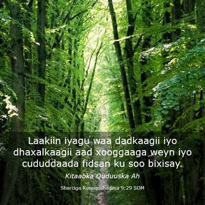 Picture 03 - Sharciga Kunoqoshadiisa 9:29 SOM - Laakiin iyagu waa dadkaagii iyo dhaxalkaagii aad - Bible Verse Picture