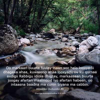 Picture 03 - Sharciga Kunoqoshadiisa 9:9 SOM - Oo markaan buurta fuulay inaan soo helo looxyadii - Bible Verse Picture