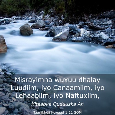 Picture 03 - Taariikhdii Kowaad 1:11 SOM - Misrayimna wuxuu dhalay Luudiim, iyo Canaamiim, - Bible Verse Picture