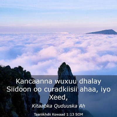 Picture 03 - Taariikhdii Kowaad 1:13 SOM - Kancaanna wuxuu dhalay Siidoon oo curadkiisii - Bible Verse Picture