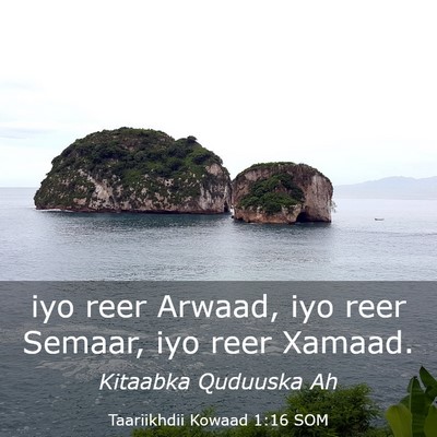 Picture 03 - Taariikhdii Kowaad 1:16 SOM - iyo reer Arwaad, iyo reer Semaar, iyo reer - Bible Verse Picture