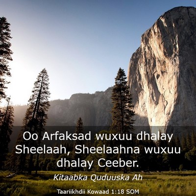 Picture 03 - Taariikhdii Kowaad 1:18 SOM - Oo Arfaksad wuxuu dhalay Sheelaah, Sheelaahna - Bible Verse Picture