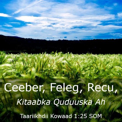 Picture 03 - Taariikhdii Kowaad 1:25 SOM - Ceeber, Feleg, - Bible Verse Picture
