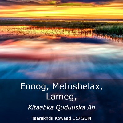 Picture 03 - Taariikhdii Kowaad 1:3 SOM - Enoog, Metushelax, - Bible Verse Picture