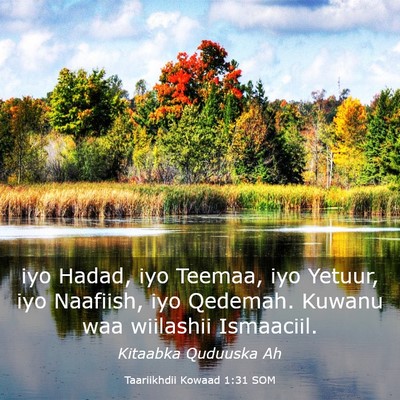 Picture 03 - Taariikhdii Kowaad 1:31 SOM - iyo Hadad, iyo Teemaa, iyo Yetuur, iyo Naafiish, - Bible Verse Picture