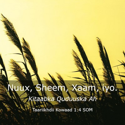 Picture 03 - Taariikhdii Kowaad 1:4 SOM - Nuux, Sheem, Xaam, - Bible Verse Picture