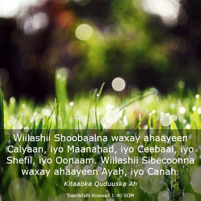 Picture 03 - Taariikhdii Kowaad 1:40 SOM - Wiilashii Shoobaalna waxay ahaayeen Calyaan, iyo - Bible Verse Picture
