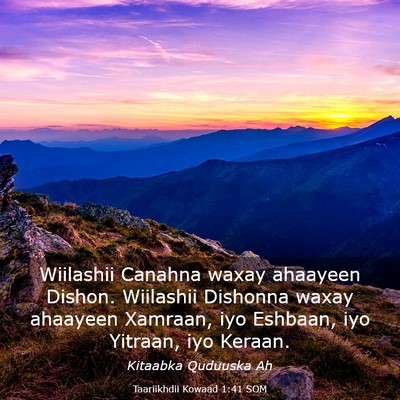 Picture 03 - Taariikhdii Kowaad 1:41 SOM - Wiilashii Canahna waxay ahaayeen Dishon. - Bible Verse Picture
