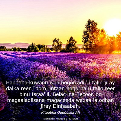 Picture 03 - Taariikhdii Kowaad 1:43 SOM - Haddaba kuwanu waa boqorradii u talin jiray dalka - Bible Verse Picture