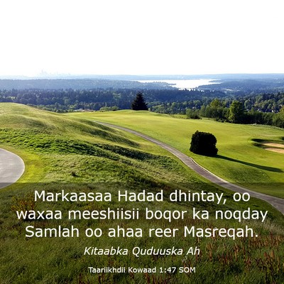 Picture 03 - Taariikhdii Kowaad 1:47 SOM - Markaasaa Hadad dhintay, oo waxaa meeshiisii - Bible Verse Picture