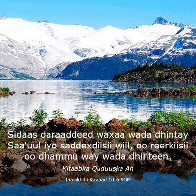 Picture 03 - Taariikhdii Kowaad 10:6 SOM - Sidaas daraaddeed waxaa wada dhintay Saa'uul iyo - Bible Verse Picture