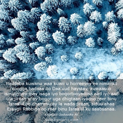 Picture 03 - Taariikhdii Kowaad 11:10 SOM - Haddaba kuwanu waa kuwii u horreeyey ee nimankii - Bible Verse Picture