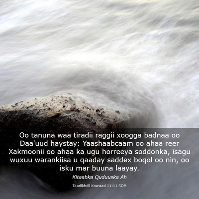 Picture 03 - Taariikhdii Kowaad 11:11 SOM - Oo tanuna waa tiradii raggii xoogga badnaa oo - Bible Verse Picture