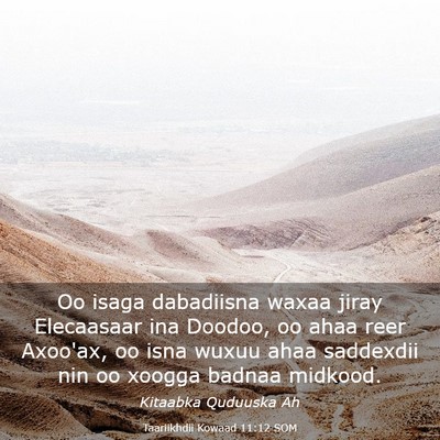 Picture 03 - Taariikhdii Kowaad 11:12 SOM - Oo isaga dabadiisna waxaa jiray Elecaasaar ina - Bible Verse Picture