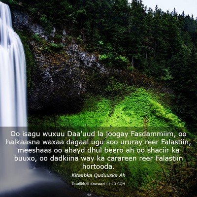 Picture 03 - Taariikhdii Kowaad 11:13 SOM - Oo isagu wuxuu Daa'uud la joogay Fasdammiim, oo - Bible Verse Picture