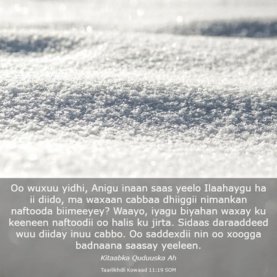 Picture 03 - Taariikhdii Kowaad 11:19 SOM - Oo wuxuu yidhi, Anigu inaan saas yeelo Ilaahaygu - Bible Verse Picture